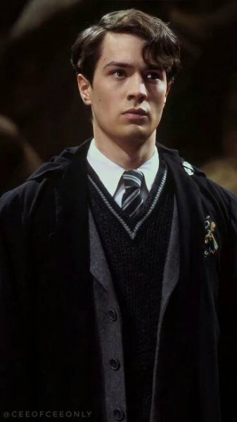 Tom Riddle Wallpaper (1) | Harry potter toms, Tom riddle, Riddles