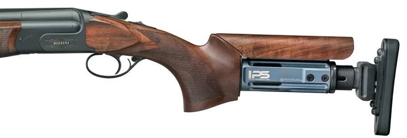 Rizzini - IPS - system