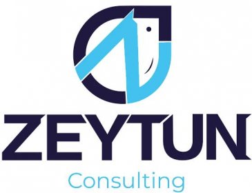 Zeytun Consulting – A Digital Consulting Agency