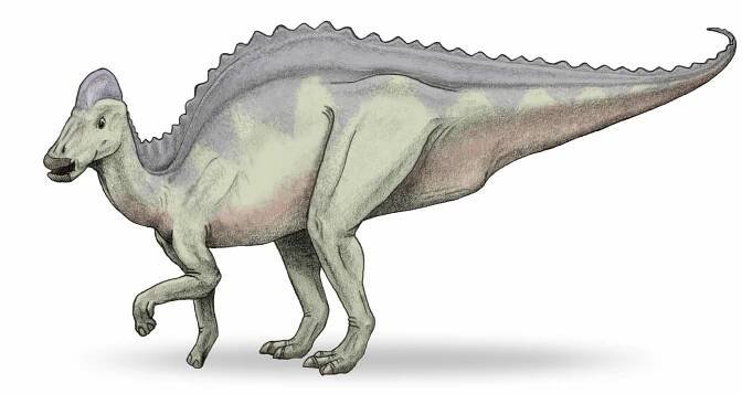Soubor:Hypacrosaurus-v2.jpg
