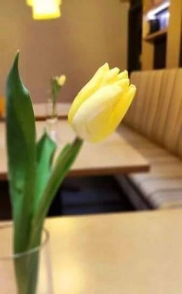 Bistrograf | restaurace a denní menu Znojmo