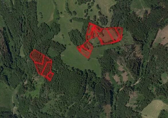 Prodej Pozemek, Chlum-Korouhvice - Korouhvice, okres Žďár nad Sázavou