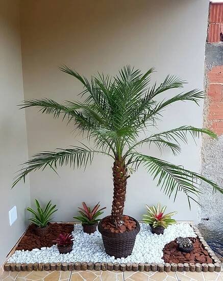 Pin de Cristiane de Lima Caldeira em Home sweet home | Jardins pequenos, Decoração de jardim pequeno, Jardim diy