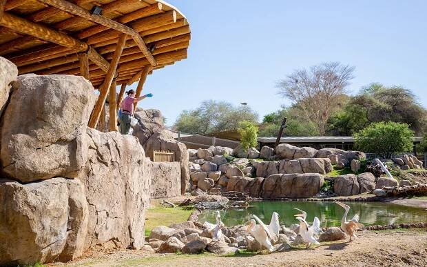 Living Desert Zoo and Gardens | Rhino Savanna