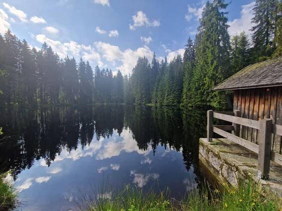 Šumava, Plechý a Třístoličník «8.6.2024» – Snami Tour