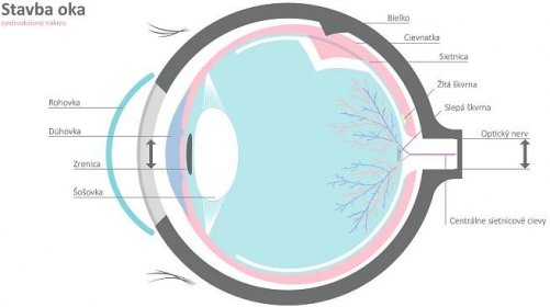 UVEA Mediklinik - Ako vzniká zrak