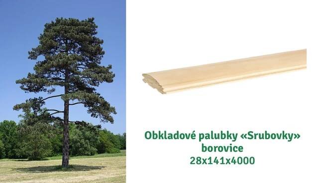 Palubky borovice - Blog Kupdrevo