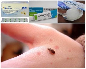 Alergie na kousnutí plošticí - reakce těla, příznaky a metody léčby