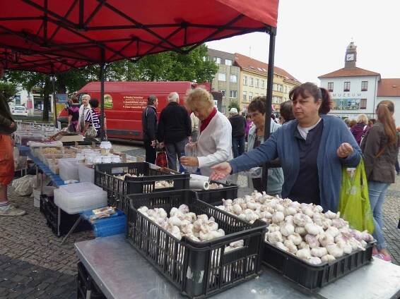 Šlágry farmářských trhů: brambory, koláče a bylinky