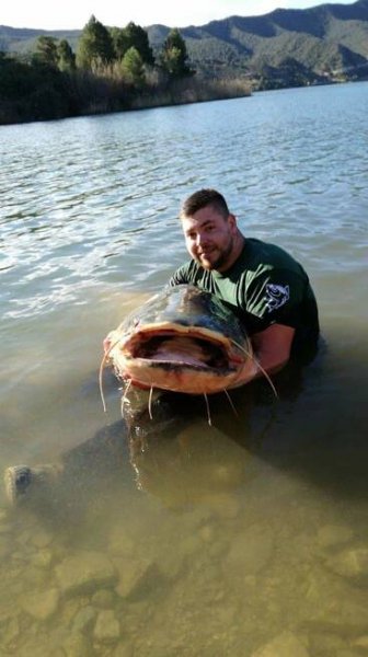 Lov sumců na řece Ebro – Racho Rio Ebro – Rybolov ve Španělsku na řece Ebro
