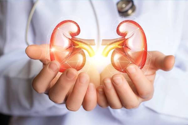 Ordinační doba :: urologiemikulov