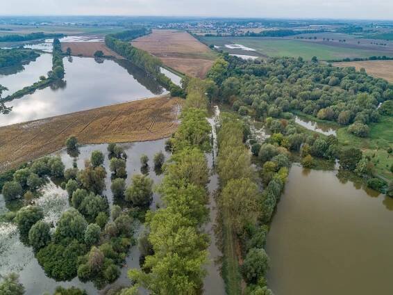 Dyje přetlačuje říčku Jevišovku. Podívejte se na působivé záběry z výšky
