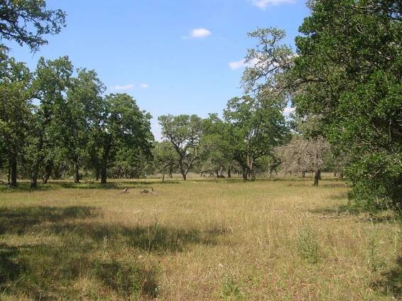 KENDALL COUNTY COUNTRY HOME | Kendall County, Texas | Thornton Ranch Sales