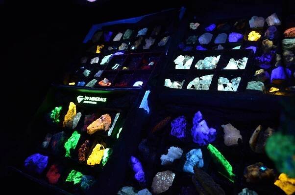Minerály, zkameněliny i meteorit. Mayrovka se proměnila v geologický ráj