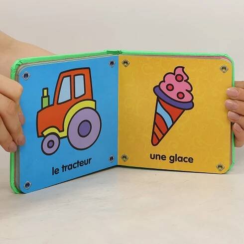 Mon petit dictionnaire illustré Premiers Mots - Kolektiv autorů - knihobot.cz