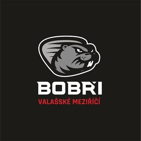 Do nové sezóny s novým logem! Bobři mění svoji tvář HC Bobři Valašské Meziříčí