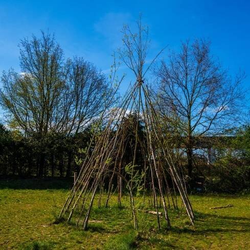 Týpí z živých vrbových prutů (Foto: Shutterstock)