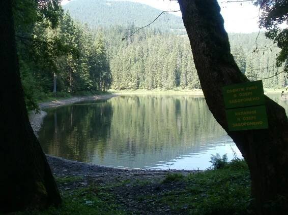 Fotogalerie Siněvirské jezero - Vchod směrem k jezeru - č. 588041 | Turistika.cz