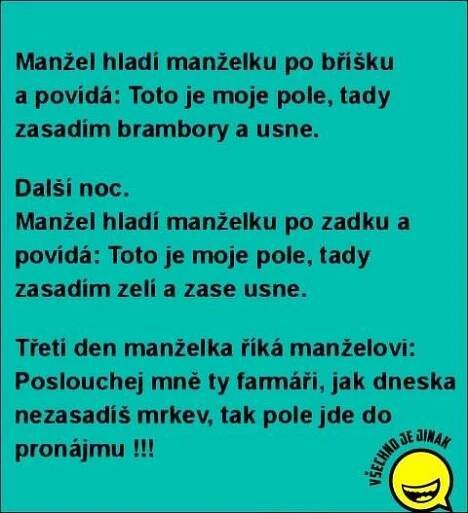 Funny Quotes in Multiple Languages with Smiley Faces