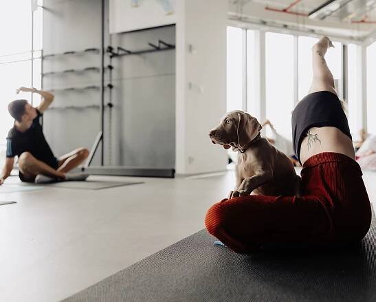 Informace pro chovatele | Pets Yoga Prague