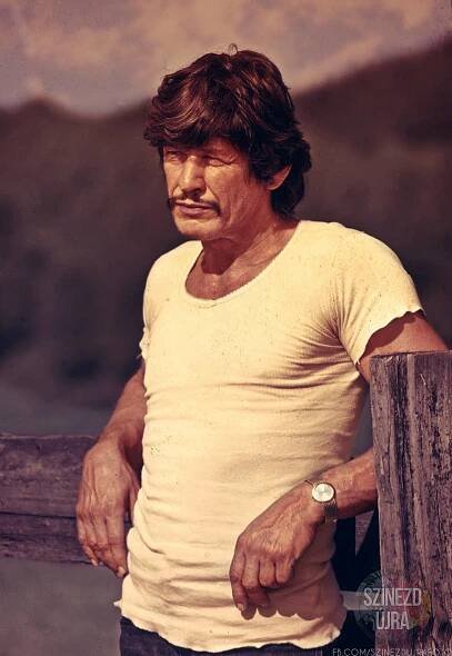 American Actor Charles Bronson In 1973 Wallpaper