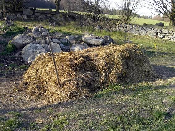 Chlévský hnůj - Výživa a hnojení rostlin - Fórum - Zemědělství