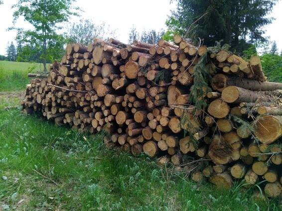 Internetový obchod :: Lesní družstvo "Háj"