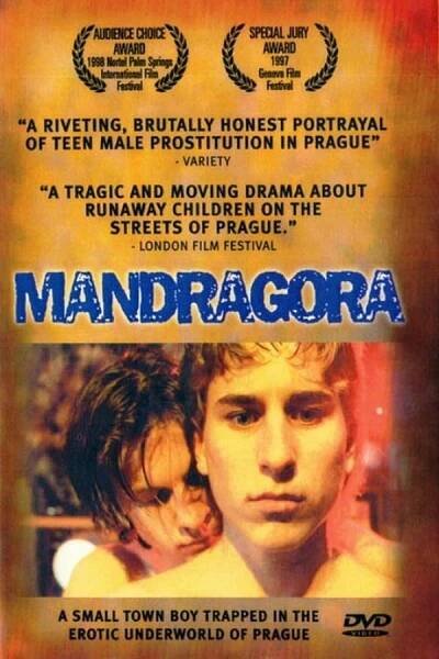 Mandragora - Tržby a návštěvnost