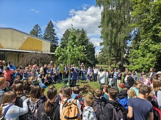 Strom svobody už na svém místě