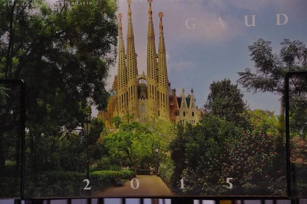 Barcelona 6 day Intensives | Sigrid Lindemann