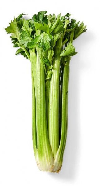 Celery bunch