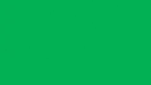 3045 Jasně zelená 3-5letá samolepicí plotrová fólie lesklá / Kemica