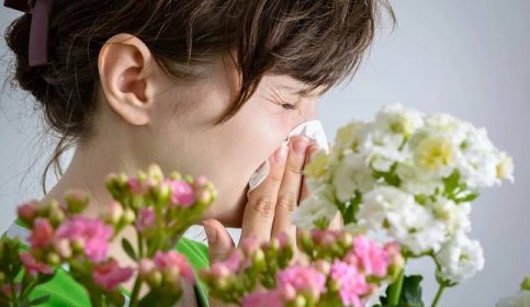 Květiny-alergeny: které květiny způsobují rýmu a migrény?