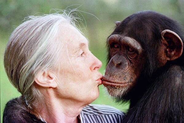 Zemřela britská primatoložka Jane Goodallová, bylo jí 91 let