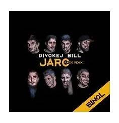Jaro (radio remix)