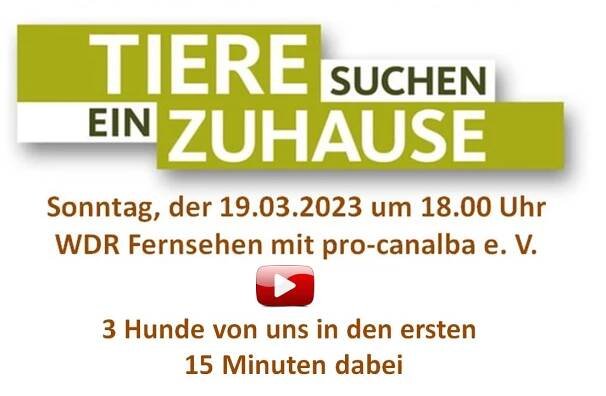 Presse – Medien – pro-canalba ® e. V.