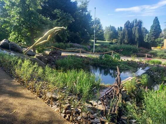 Jezírko Botanická zahrada Praha – Beňo-biotech
