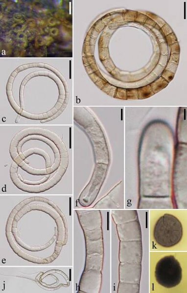 figure 119