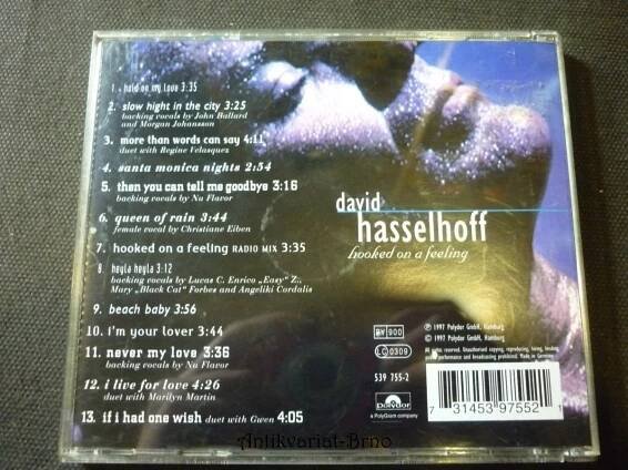 David Hasselhoff hooked on a feeling