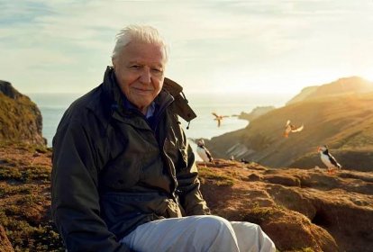 Král dokumentaristů David Attenborough se loučí. V nové sérii Wild Isles se před kamery postaví naposledy