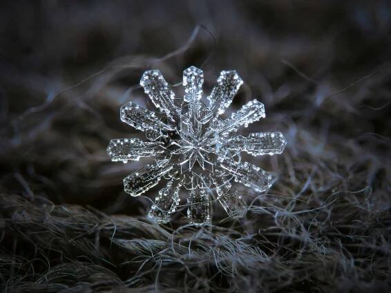 13 Perfect Snowflakes Captured in Photos