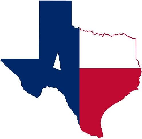 Texas Flag map logo