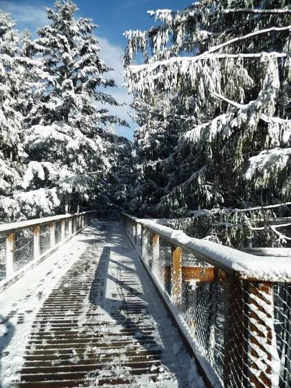Zimní dovolena Lipno| lipnolyzovani.cz