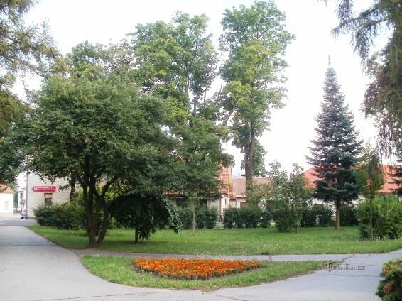 Hradec Králové -... - Náměstí