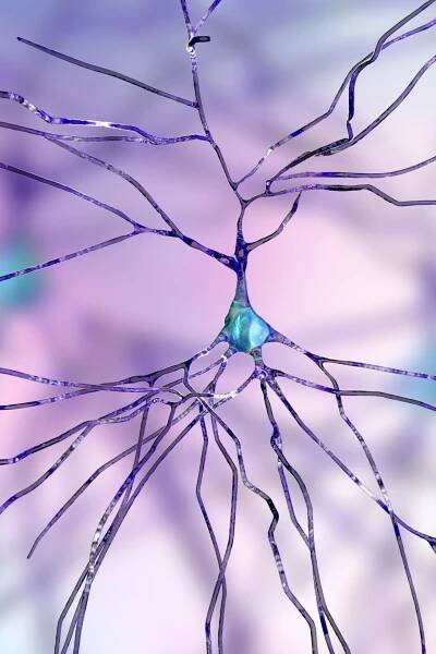 Neurological Disorders