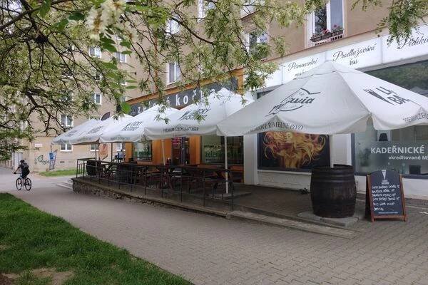 Grand restaurant Zelená Kočka foto 1