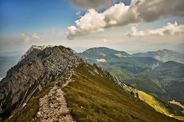 Fagaraš a modlící medvědi - Články | Divoký sever