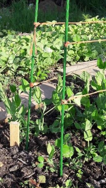 Zahradní sklolaminátová tyč 200 cm průměr 10 mm tyčka k rajčatům (2) (1)