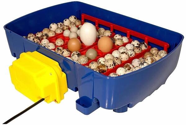 Plně automatická líheň na vejce BOROTTO REAL 24 EXPERT