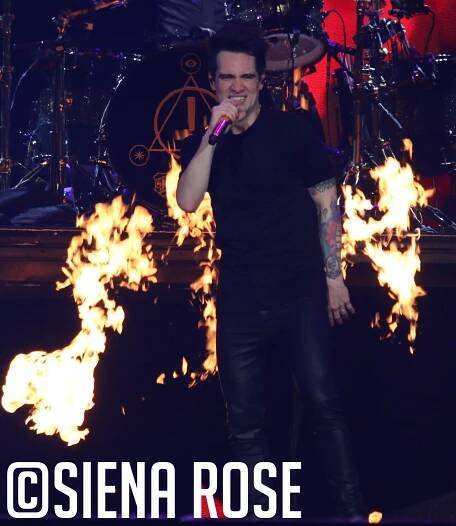 Panic! At The Disco – 1/19/2019 – Ohdearpennylane.com